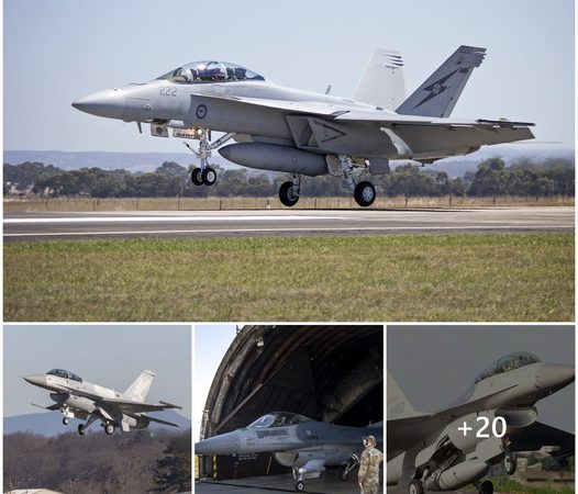 Introducing South Carolina’s Inaugural F-16 Viper: The World’s First Radar-Wave Blocking Stealth Aircraft