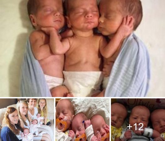 Joadey Dyer’s Life Takes an Unexpected Turn with the Arrival of Triplets