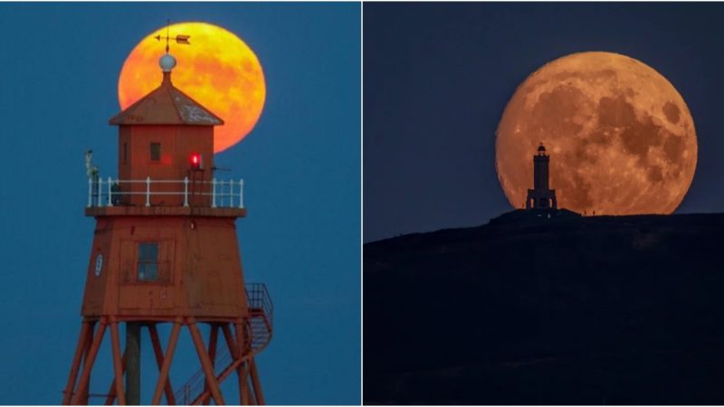 Exploring the Enchanting Charm of Crimson Sunsets: The Timeless Allure of Scarlet Skies