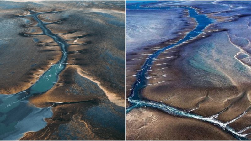 The Magnificent Marine Biodiversity of Montgomery Reef in Australia’s Tidal Splendor