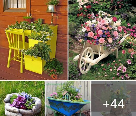 44 Creative DIY Container Garden Ideas to Enhance Your Backyard