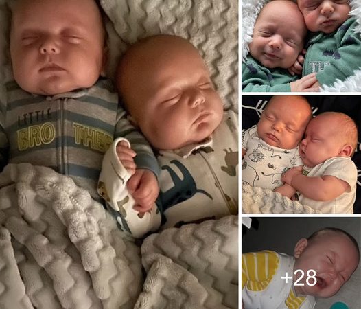 Inseparable 7-Month-Old Twins Reject Separation, Proving Their Unbreakable Bond