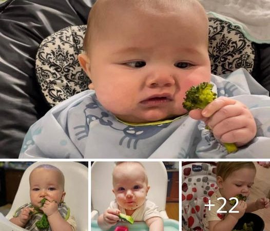 Nurturing Healthy Eating: Creative Solutions to Tackle Baby’s Vegetable Resistance