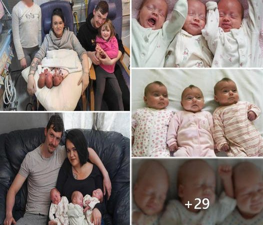 A Miraculous Blessing: The Extraordinary Journey of Identical Triplets, 1 in 200 Million