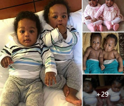 Double the Charm: Celebrating the Unique Personalities of Identical Black Twin Babies