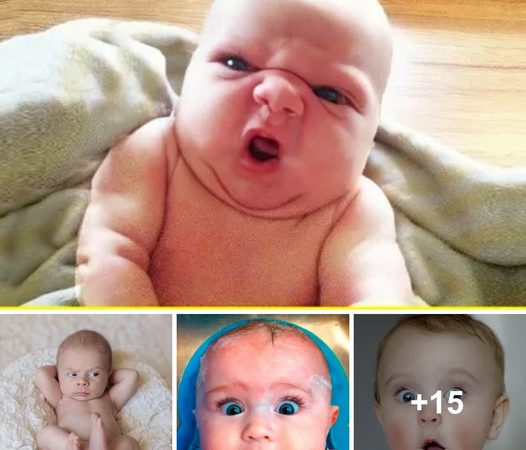 Delightful Moments: Babies Spreading Laughter with Their Cute Emotions