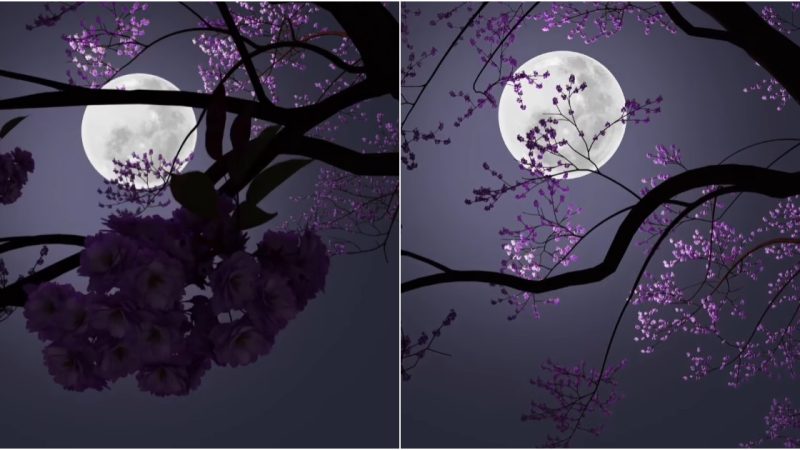 Enchanted: Moonlight’s Purple Glimpse Amidst the Trees.