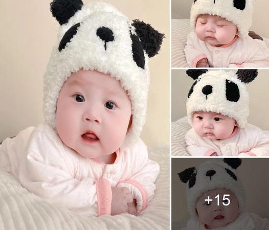 The Adorable Dumpling Face of the Baby Captivates Hearts.