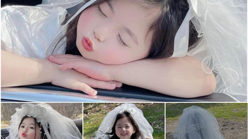 Captivating Hearts: The Angelic Beauty in the Little Girl’s Pristine White Dress