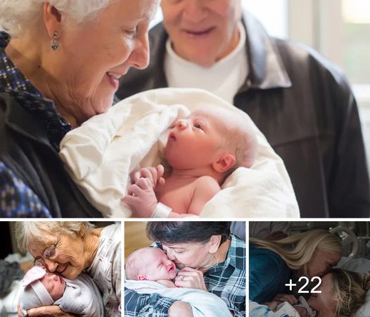 Heartwarming Moments: Grandparents Meeting Their Grandchildren for the First Time