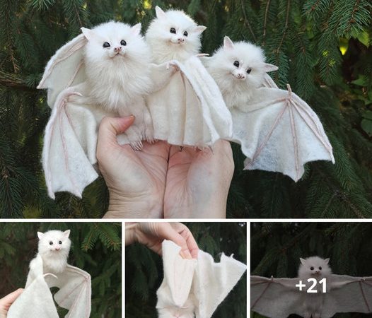 The Astonishing Discovery of an Albino Bat with the Rarest White Fur: A Natural Marvel