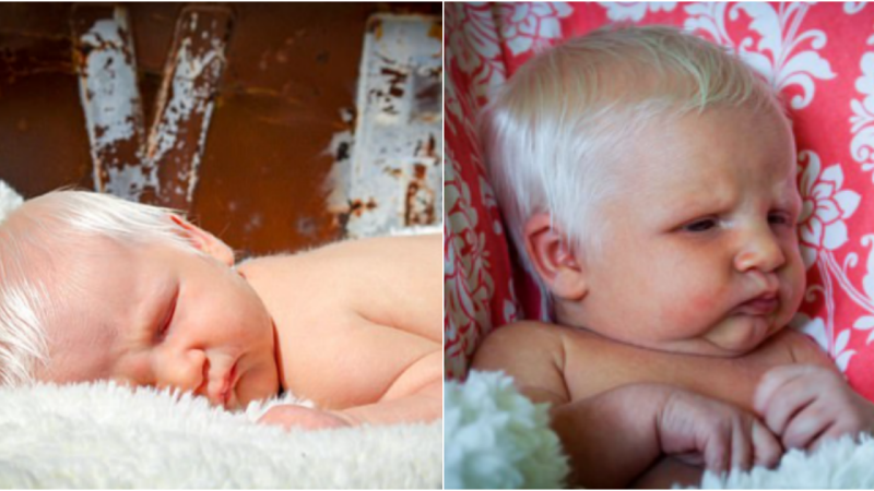 Baby Deina’s Dazzling White Hair Sparks Online Excitement