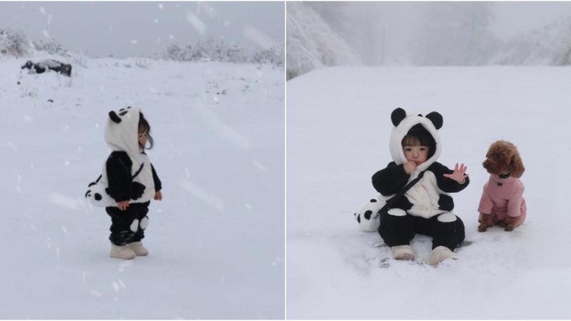 Capturing Enchanting Moments in a Baby’s Snowbound Adventure