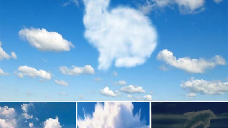 Exploring animal shapes in the clouds is a mаɡісаɩ experience!