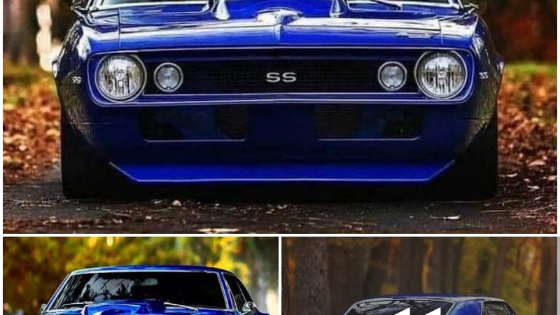 A Timeless Classic: The 1967 Chevrolet Camaro SS Blue